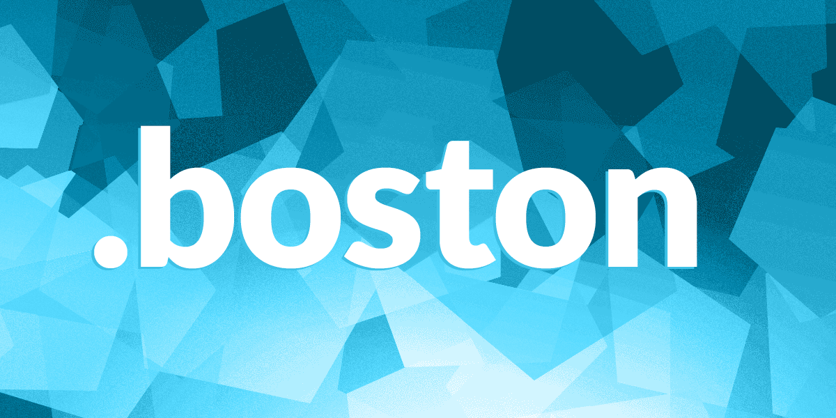 BOSTON Domain Name Registration U S EuroDNS